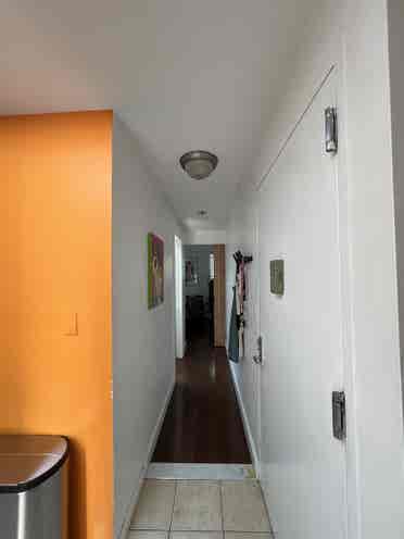 Room available in sun-filled apt!