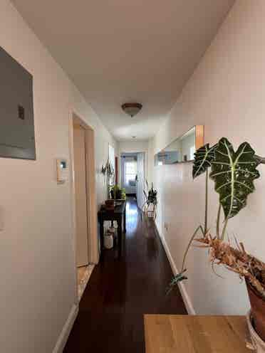 Room available in sun-filled apt!