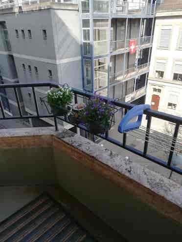 Bright 1-BR flat in Plainpalais