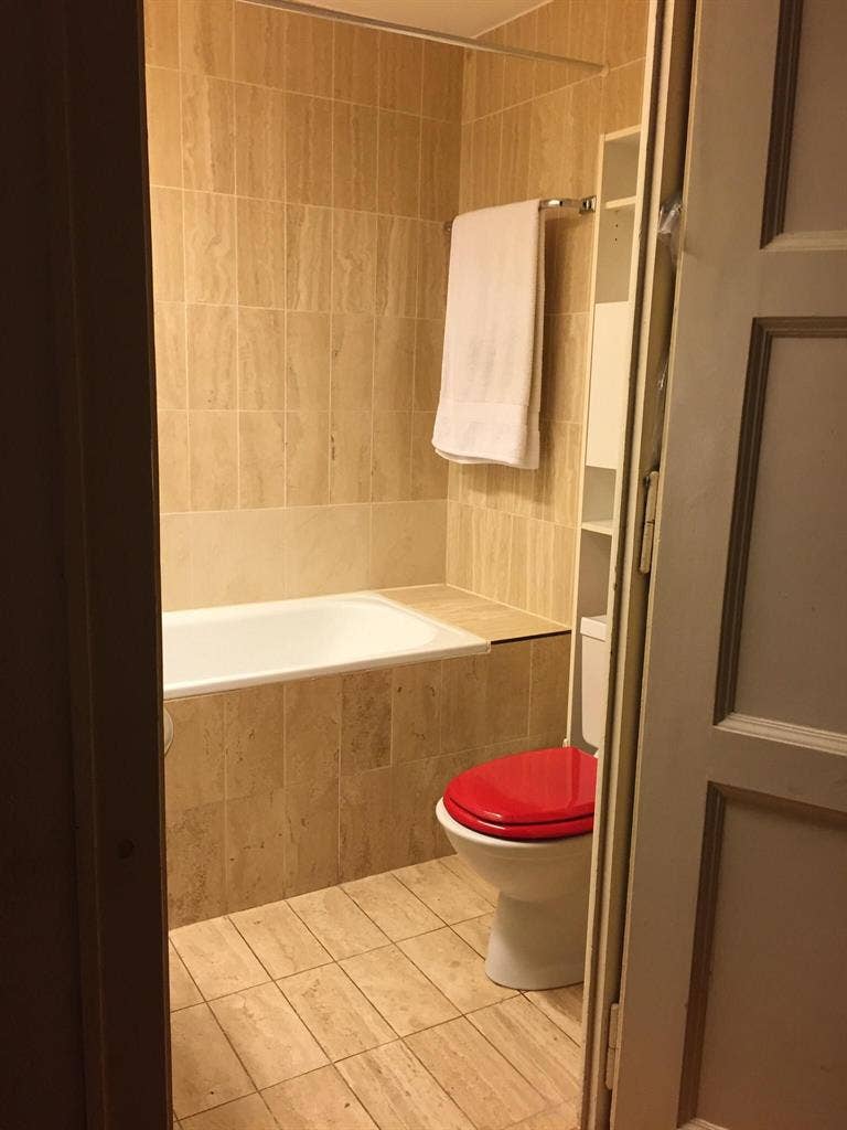 Bright 1-BR flat in Plainpalais