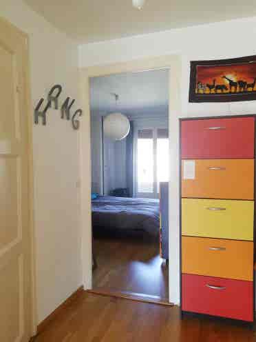 Bright 1-BR flat in Plainpalais