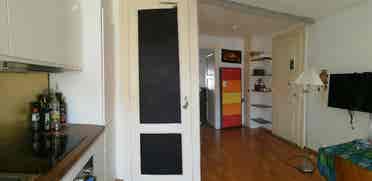 Bright 1-BR flat in Plainpalais