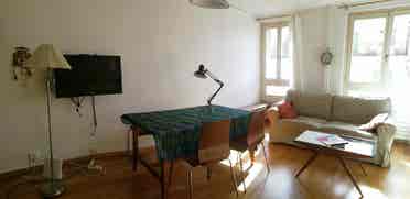 Bright 1-BR flat in Plainpalais