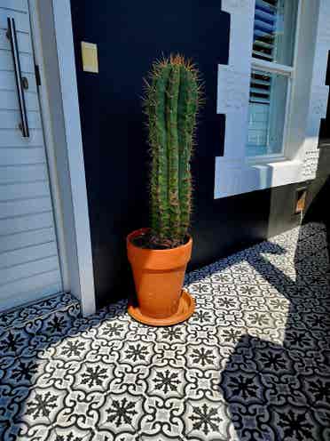 Room to rent with amazing views