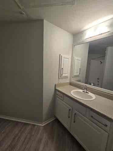 Roommate needed for  bath