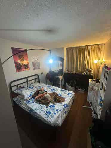 Room for Rent in my apartment