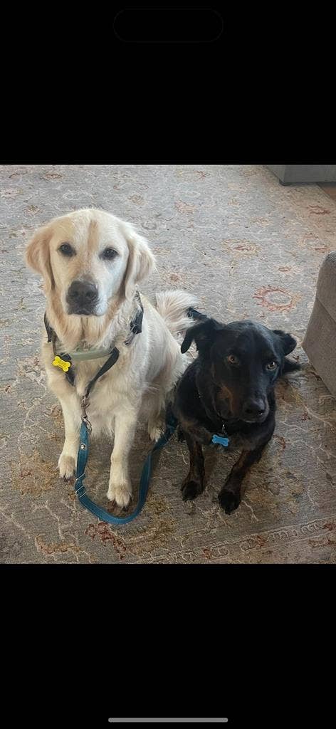 Room available in 5BR House