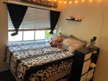 Room available in Lakewood