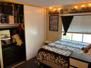 Room available in Lakewood