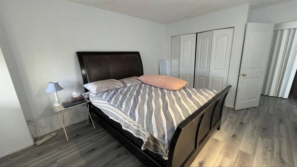 Shared apartment and room in DT