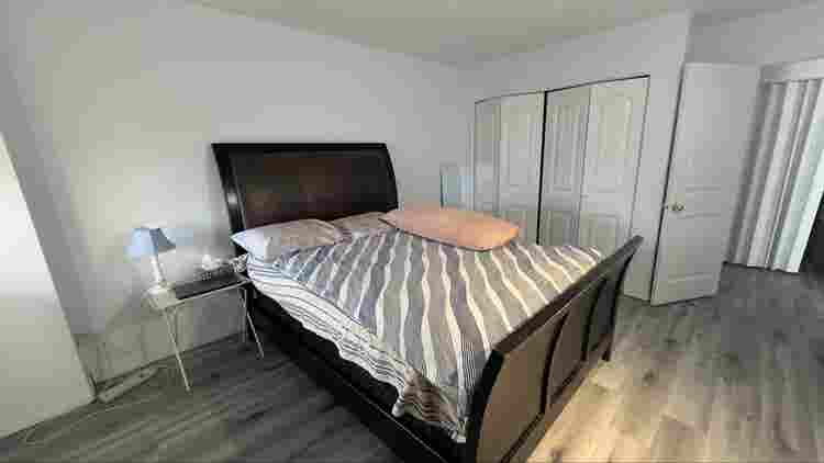 Shared apartment and room in DT