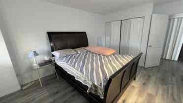 Shared apartment and room in DT