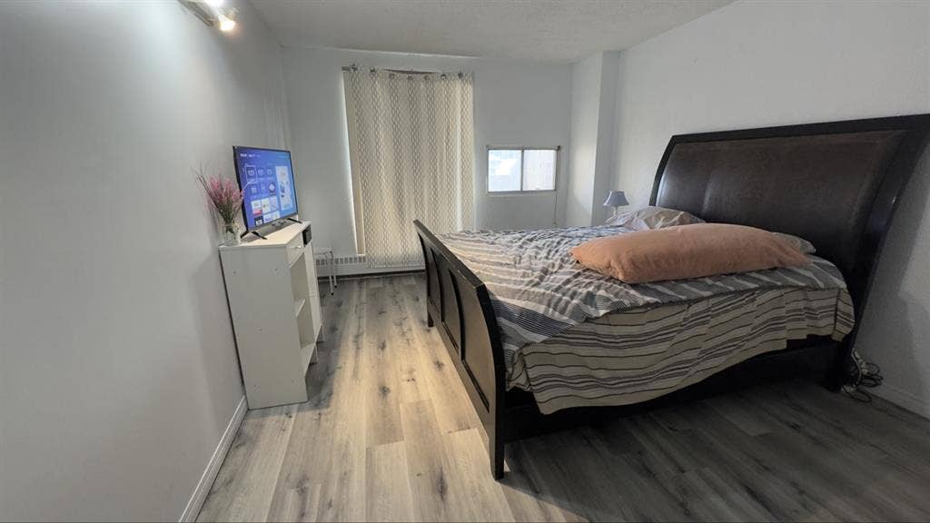Shared apartment and room in DT