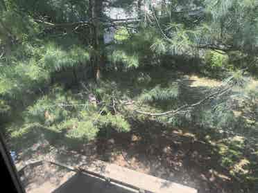 Prime Dublin Sawmill Location