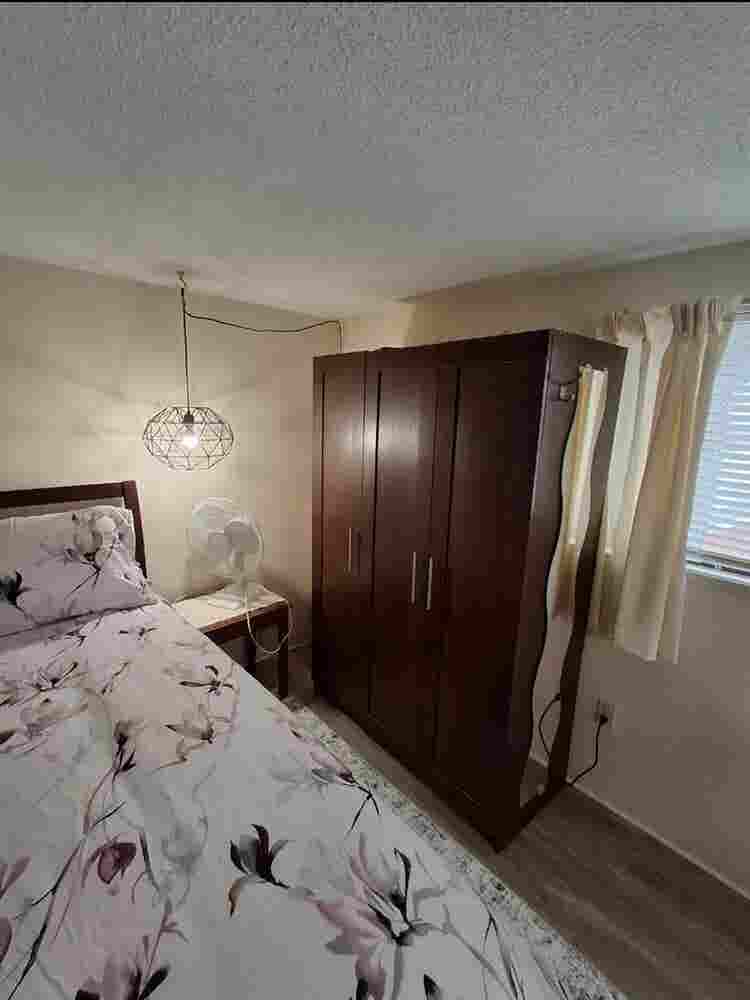 Roommate for furnished Loft Sidney