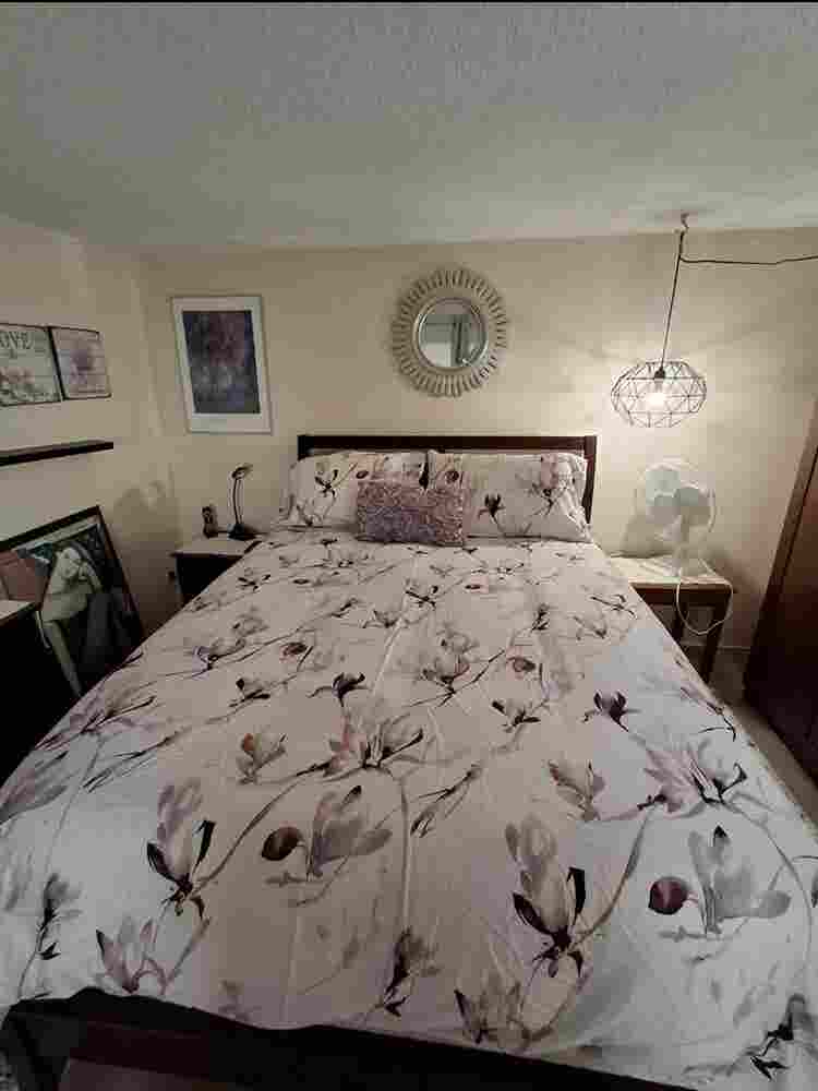 Roommate for furnished Loft Sidney