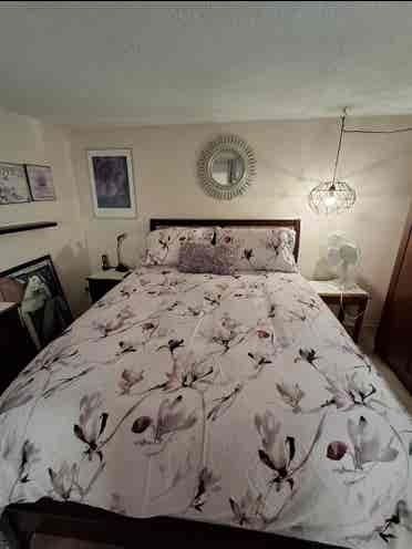 Roommate for furnished Loft Sidney