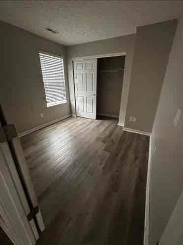 Looking for roommates