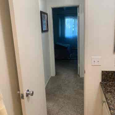 Room to rent in HB