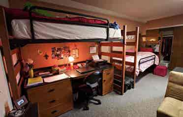 Roommates: Students and Creatives