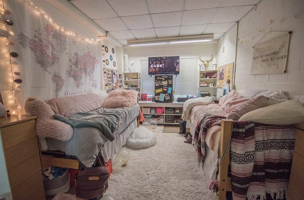 Roommates: Students and Creatives