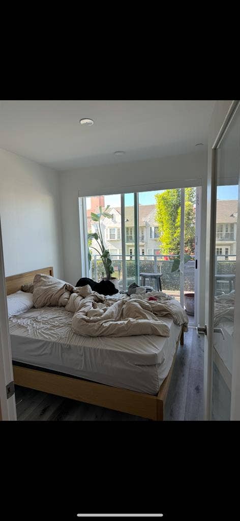 Looking for a roommate