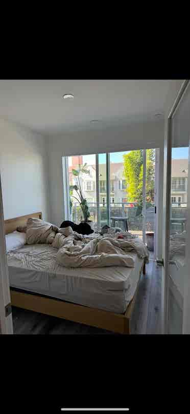 Looking for a roommate