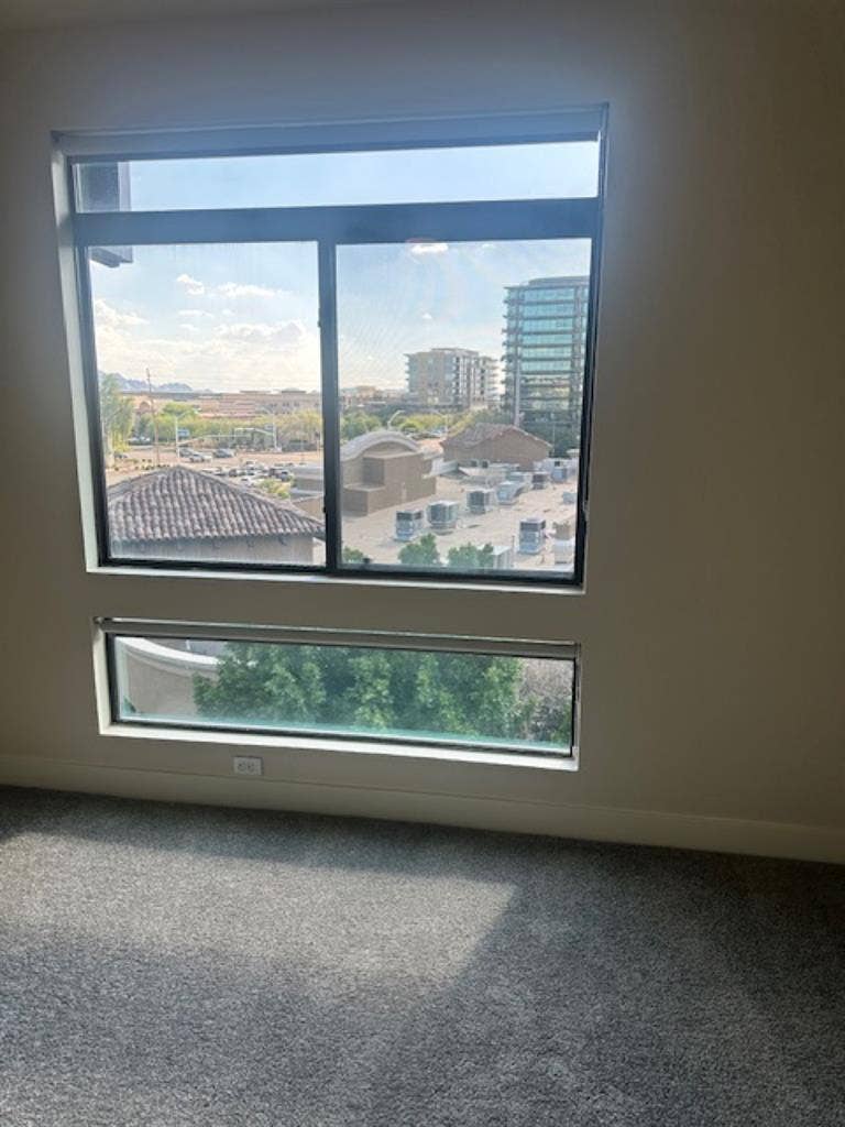 Looking for a roommate!