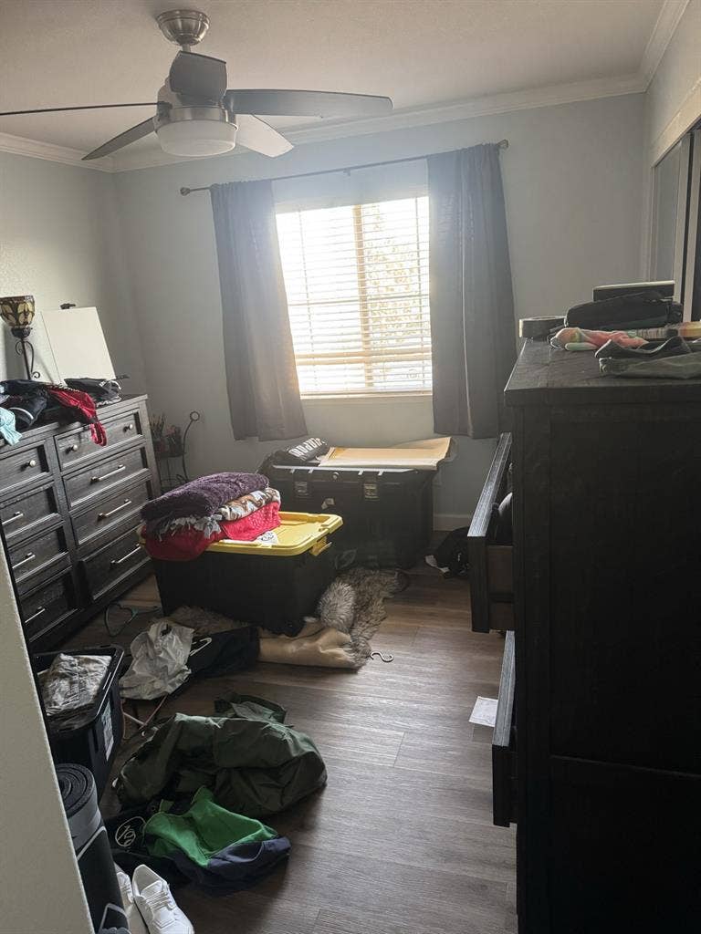 Two rooms and private bathroom