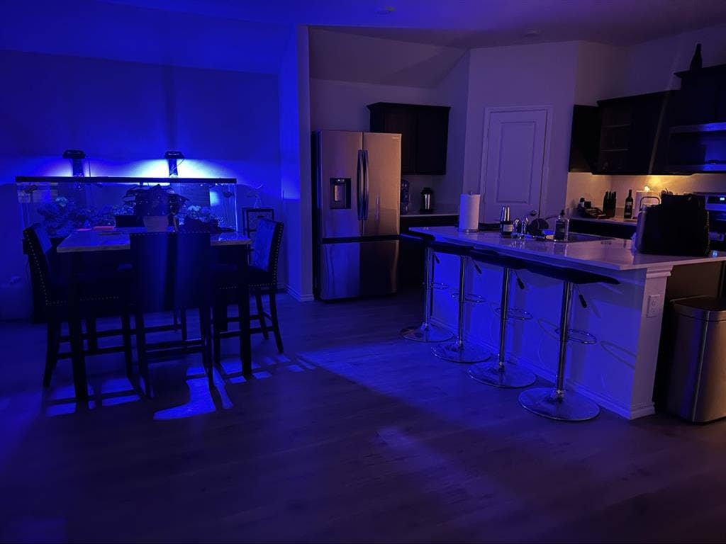 Looking for Roommate