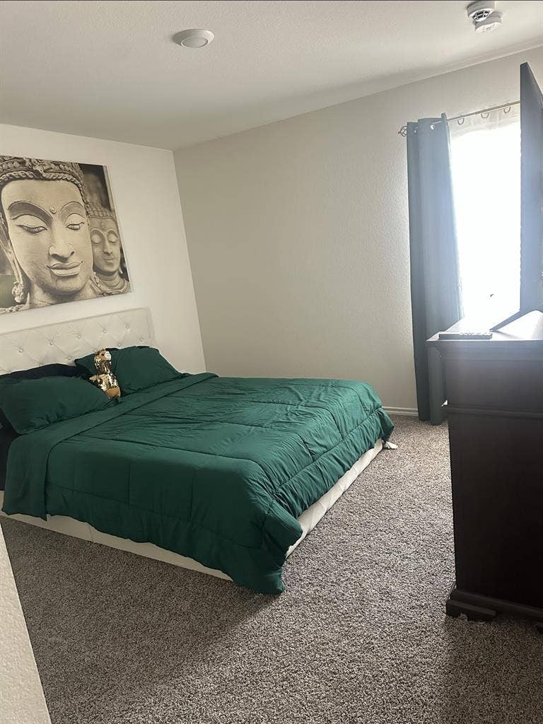 Looking for Roommate