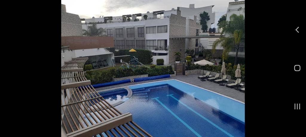 VIVE EN UN OASIS EN EĹ SUR