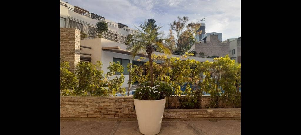 VIVE EN UN OASIS EN EĹ SUR