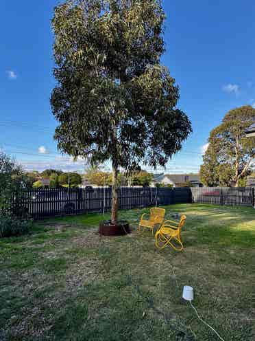Stunning space in Frankston Southh