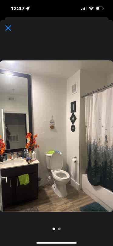 Room will be clean upon entry.