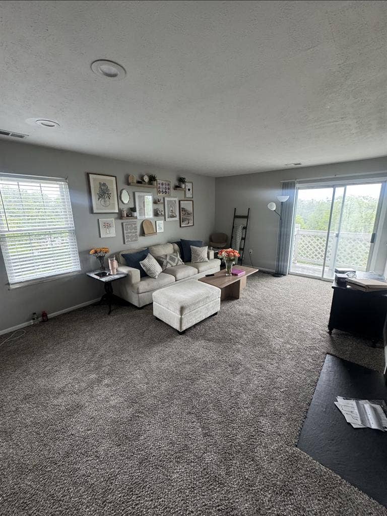 Looking for a roommate!