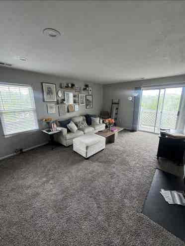 Looking for a roommate!