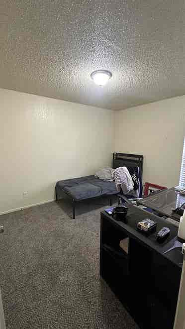 Lease Transfer-Roommate Needed