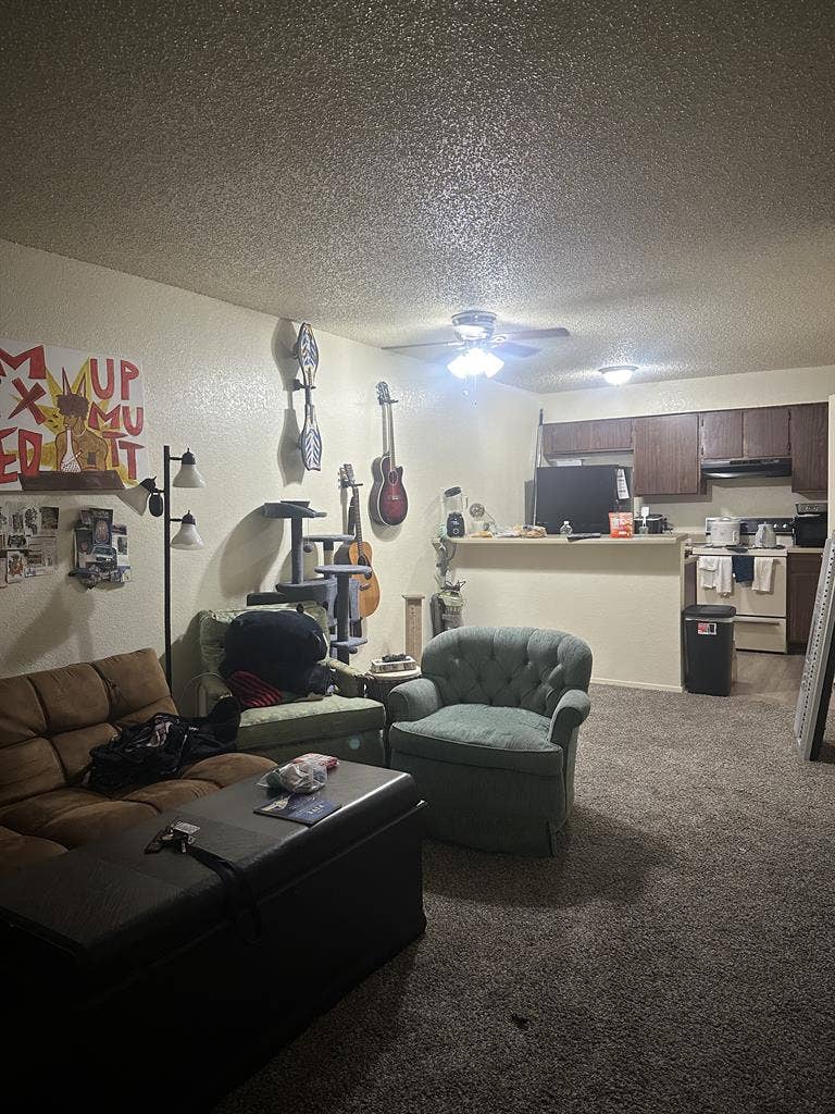 Lease Transfer-Roommate Needed