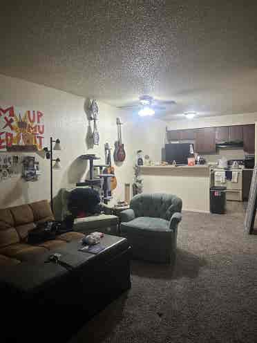 Lease Transfer-Roommate Needed