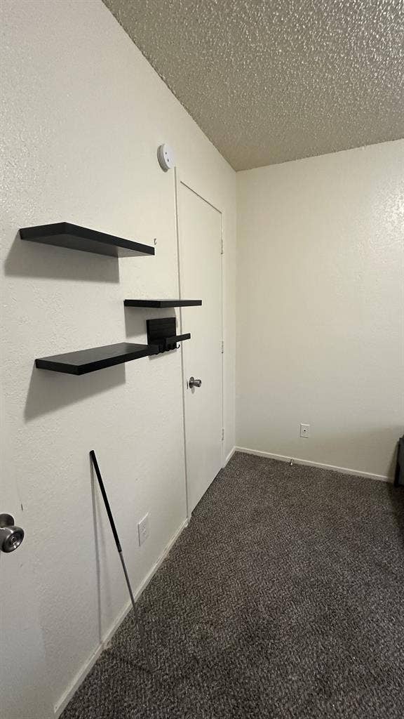 Lease Transfer-Roommate Needed
