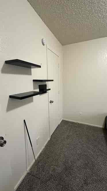 Lease Transfer-Roommate Needed