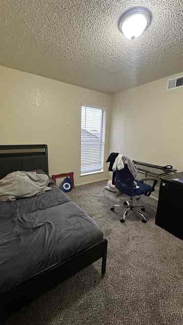Lease Transfer-Roommate Needed