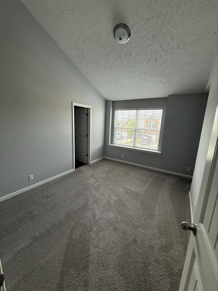 Looking for a female roomate