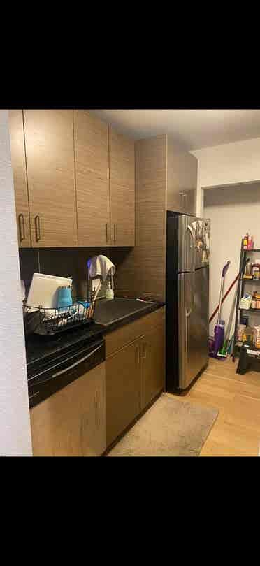 Room for rent in Austin (females)