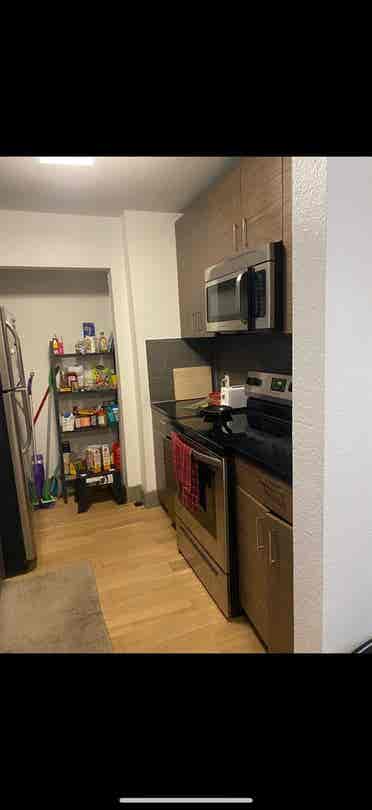 Room for rent in Austin (females)