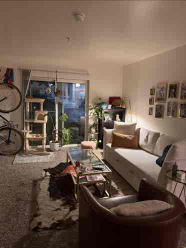 LOOKING FOR ROOMMATE