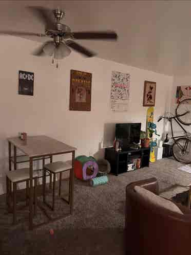 LOOKING FOR ROOMMATE