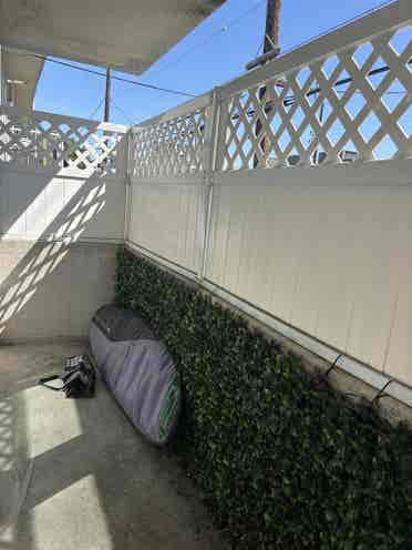 Looking for a third roommate