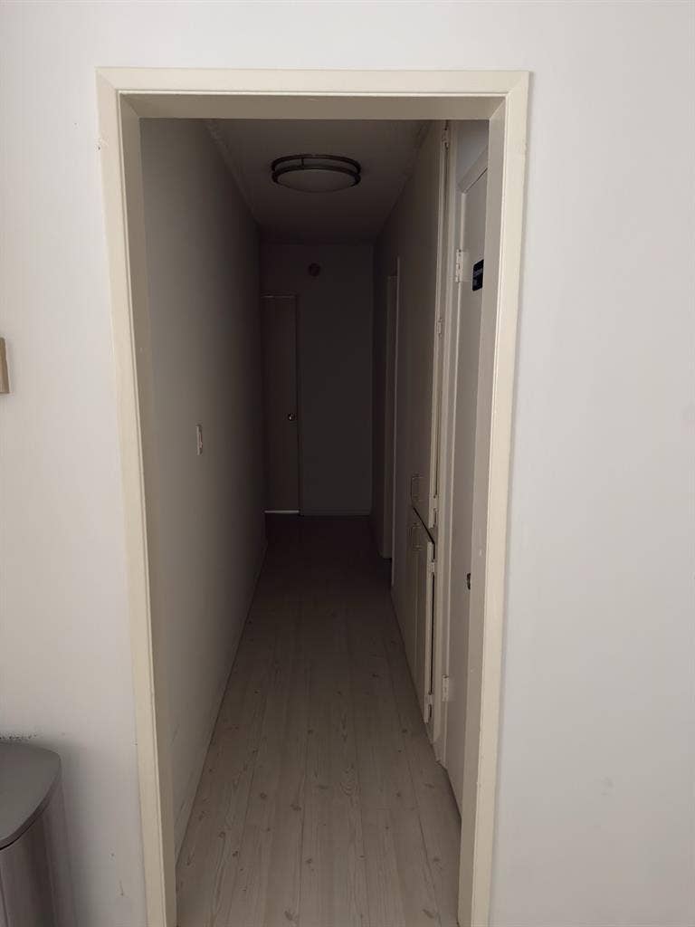 Looking for a third roommate